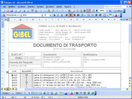 Anteprima di stampa documento di trasporto