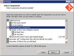 Opzioni scelte per l'installazione di msysGit